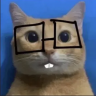 memot14