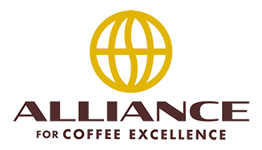 allianceforcoffeeexcellence.org