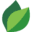 leafy-life.com